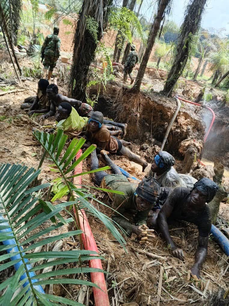 image.jpeg image.jpeg